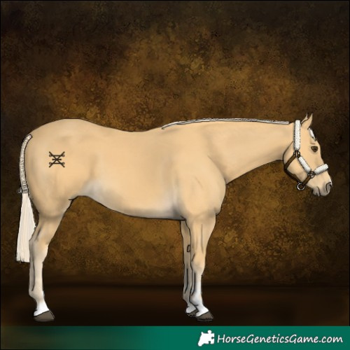Horse Color:Palomino 
