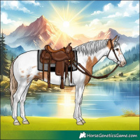 Horse Color:Chestnut Splash Tobiano Frame