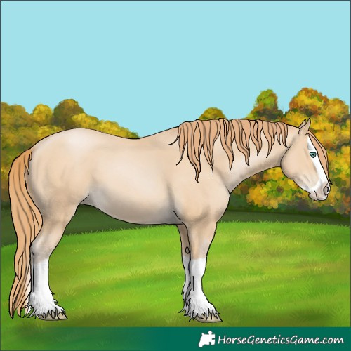 Horse Color:Smoky Black Pearl Splash 