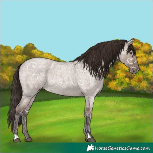 Horse Color:Liver Red Dun Ice Roan Rabicano 