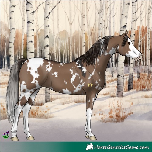 Horse Color:White Spotted Liver Red Dun Splash 