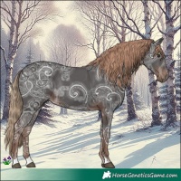 Horse Color:Liver Chestnut Ice Rabicano 