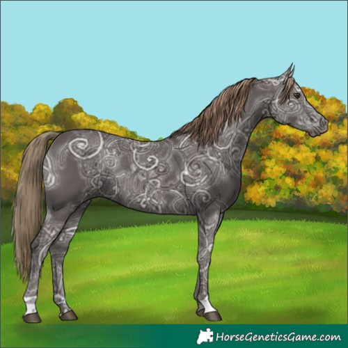 Horse Color:Liver Chestnut Ice Rabicano 