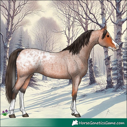 Horse Color:Bay Ice Roan Splash 