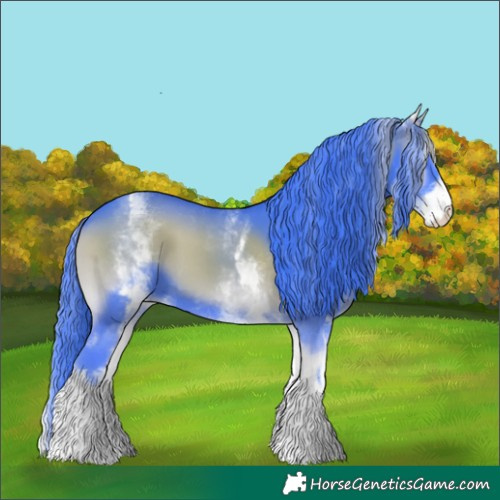 Horse Color:Watercolor White Spotted Smoky Blue Onyx 