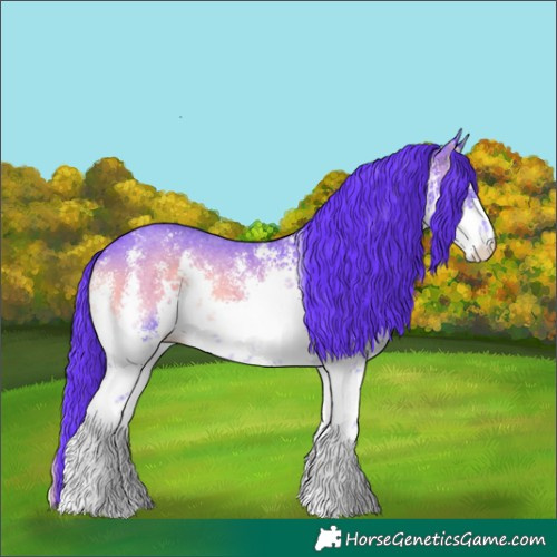 Horse Color:Watercolor White Spotted Blue Onyx Sabino Rabicano 