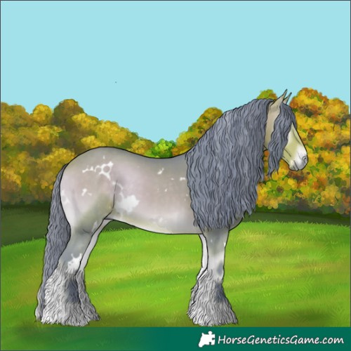 Horse Color:Watercolor White Spotted Buckskin Onyx 
