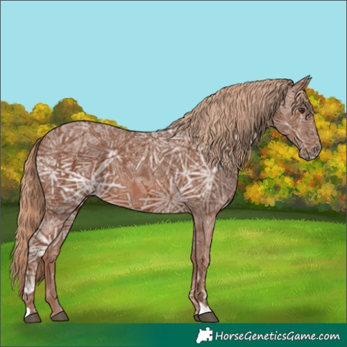 Horse Color:Chestnut Ice 