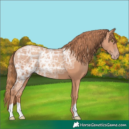 Horse Color:Gold Champagne Ice 