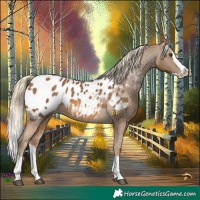 Horse Color:Chocolate Palomino Splash Blanket