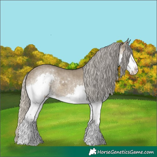 Horse Color:Silver Smoky Grullo Sabino Splash Rabicano 