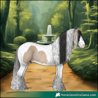 Horse Color:Brown Dun Splash Tobiano Rabicano 