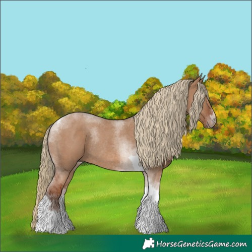 Horse Color:Red Dun Tobiano Rabicano 