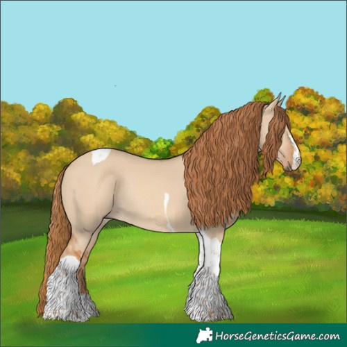 Horse Color:Red Dun Tobiano Rabicano 