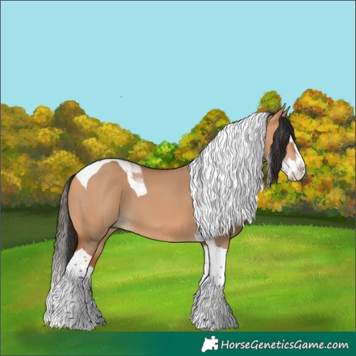 Horse Color:Bay Dun Splash Tobiano 