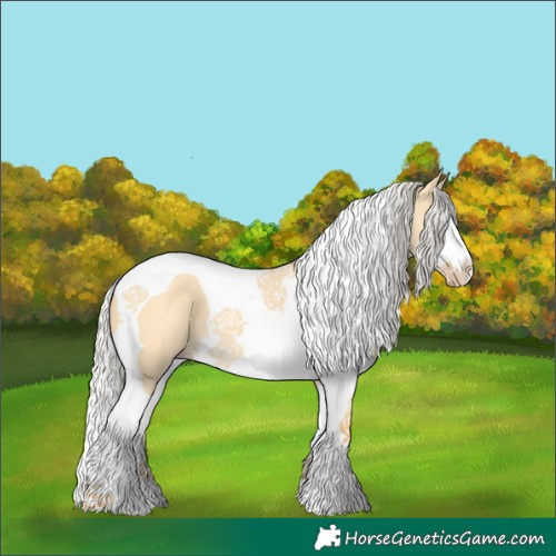 Horse Color:Silver Amber Cream Champagne Dun Splash Tobiano 