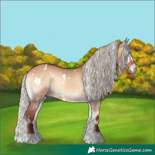 Horse Color:White Spotted Silver Bay Onyx 