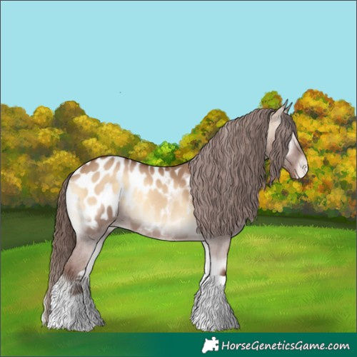 Horse Color:Red Dun Onyx Tobiano Blanket 