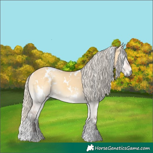 Horse Color:White Spotted Silver Buckskin Onyx 