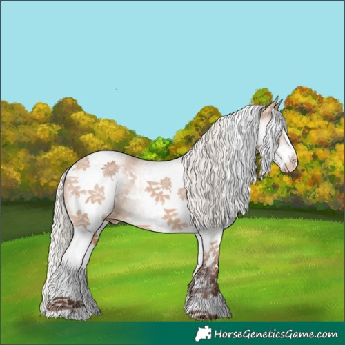 Horse Color:White Spotted Silver Bay Dun Appaloosa 