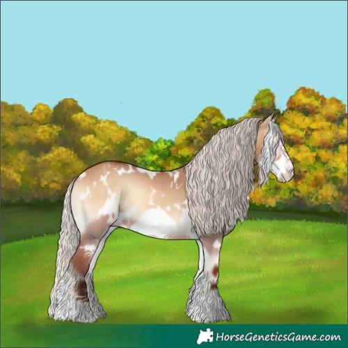 Horse Color:White Spotted Silver Bay Onyx Frame 