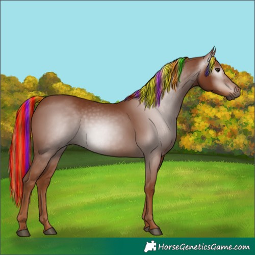 Horse Color:Gray Painted Chestnut 