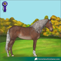 Horse Color:Silver Black