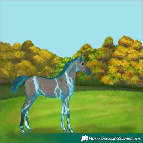 Horse Color:Gray Thunderstruck Grullo