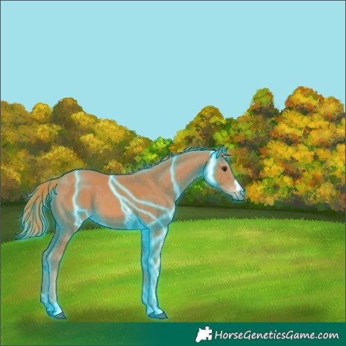 Horse Color:Thunderstruck Chestnut 