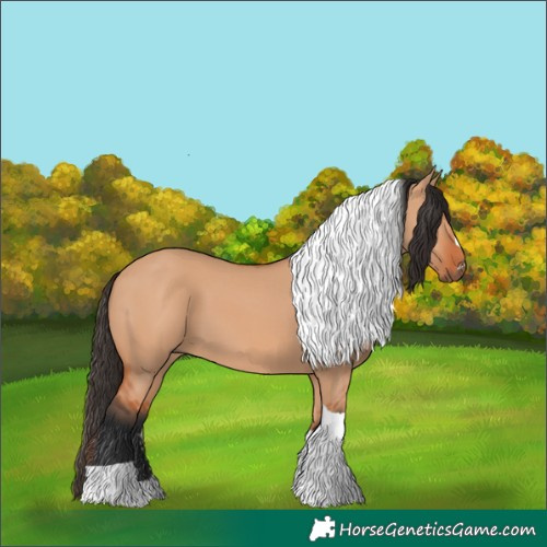 Horse Color:Bay Dun Tobiano 