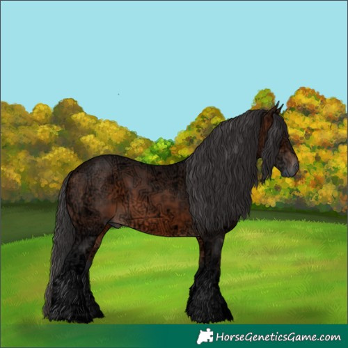 Horse Color:Brown Ice 