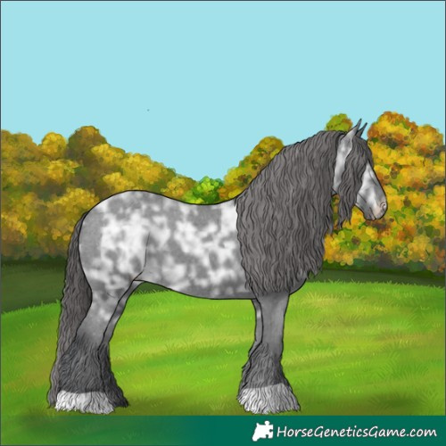 Horse Color:Black Ice Varnish 