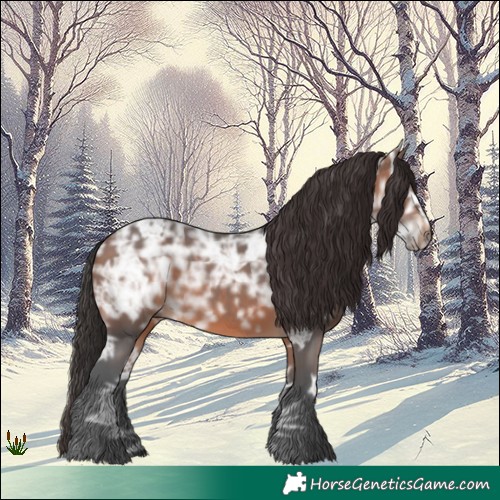 Horse Color:Brown Ice 