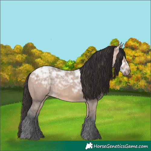 Horse Color:Bay Ice Dun Rabicano 