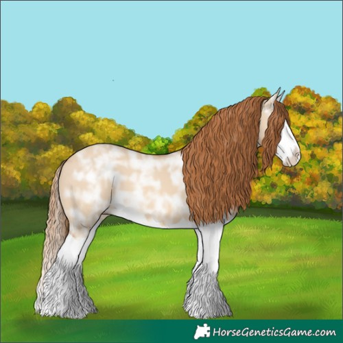 Horse Color:Red Dun Ice Splash 