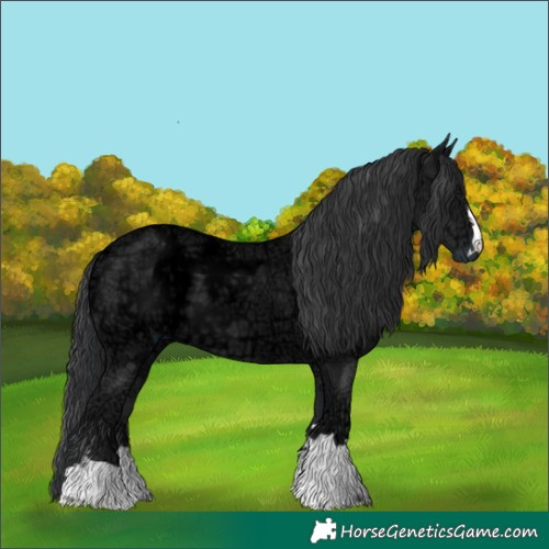 Horse Color:Black Ice 