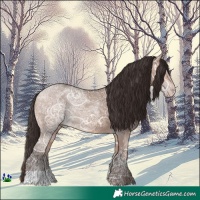 Horse Color:Amber Champagne Ice