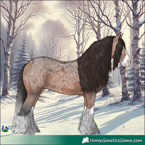 Horse Color:Bay Ice Splash 