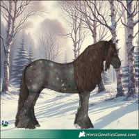 Horse Color:Midnight Classic Champagne Ice 