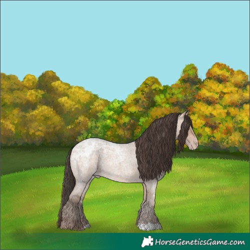 Horse Color:Amber Champagne Ice Roan 