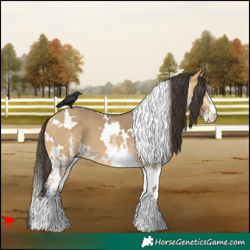 Horse Color:White Spotted Buckskin Dun 