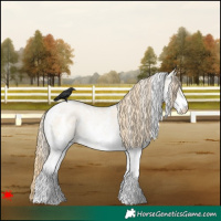 Horse Color:White Spotted Smoky Grullo Pearl 