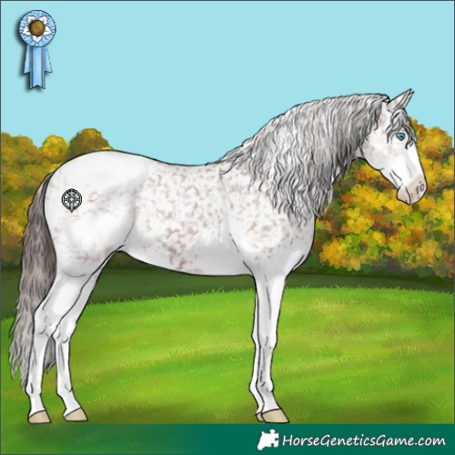 Horse Color:Liver Chestnut Splash Snowflake Varnish
