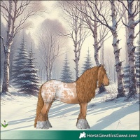 Horse Color:Chestnut Ice 