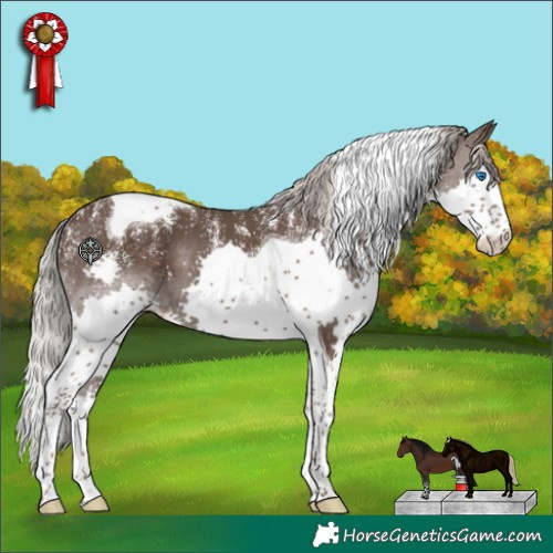 Horse Color:Powder White Silver Black Splash Tobiano Appaloosa 