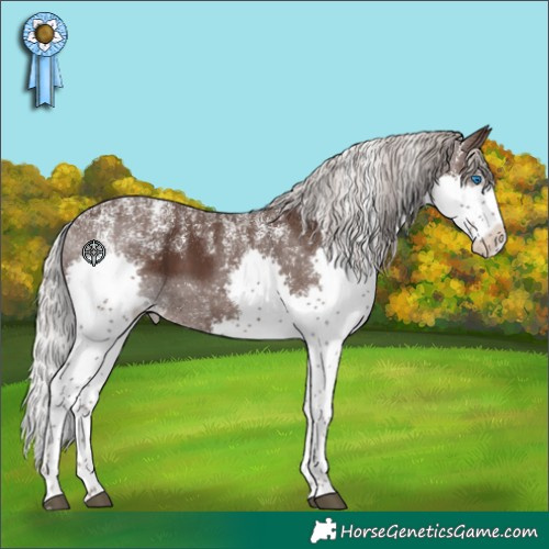 Horse Color:Powder White Silver Black Splash 