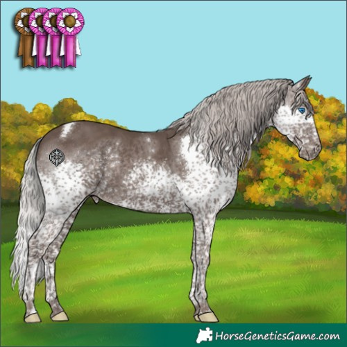 Horse Color:Silver Black Splash Tobiano 