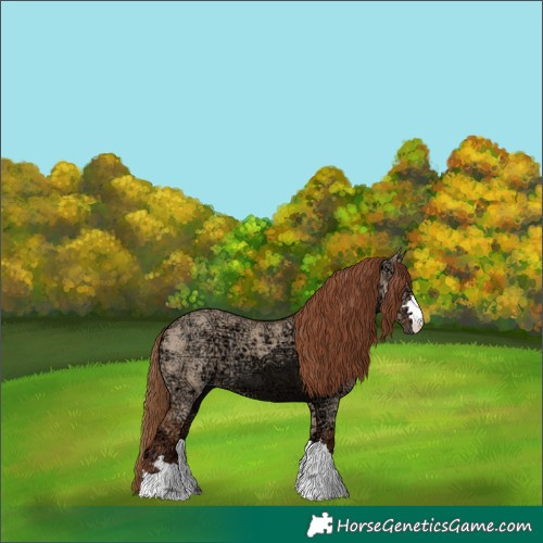 Horse Color:Red Dun Ice 