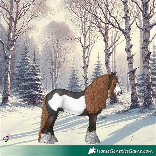 Horse Color:Midnight Gold Champagne Ice Dun Frame Rabicano