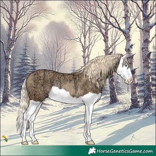 Horse Color:Gold Champagne Ice Splash Rabicano